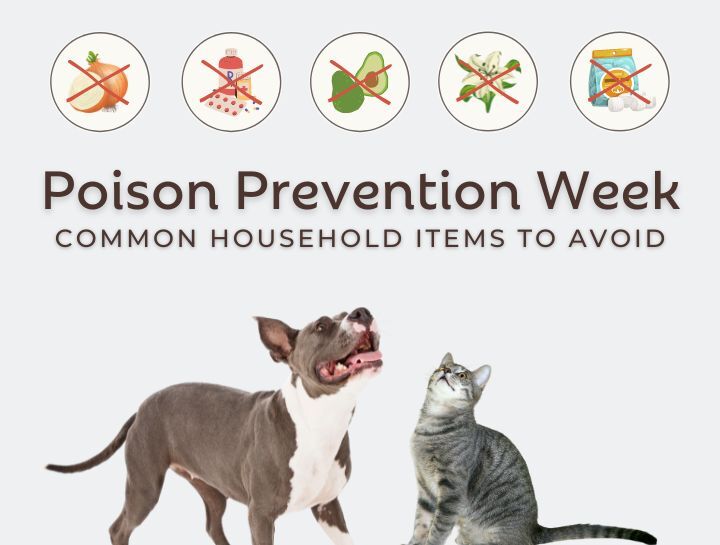 National Poison Prevention Week